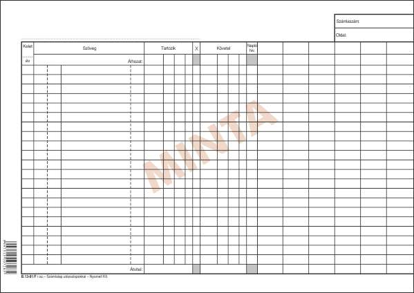 B.13-81/F SZÁMLALAP FEKETE, A/4, 1+1 SZÍN FEKETE