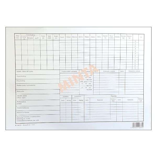 B.VÁLL.11 SZEMÉLYI NYILVÁNTARTÓ TASAK